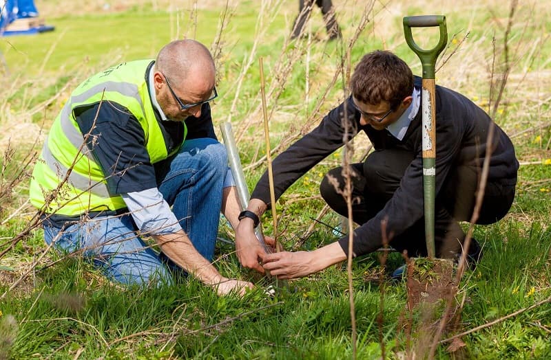 Employees planting trees at a corporate CSR event