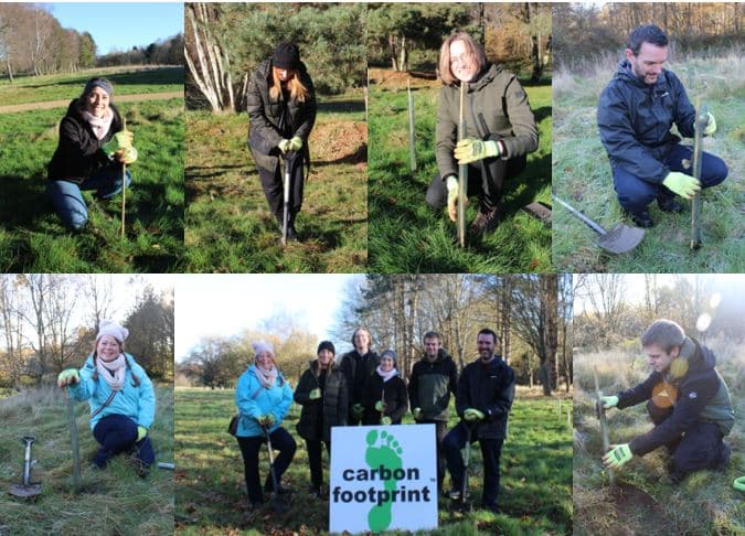 Carbon Footprint Ltd environmental consultants volunteering at a UK tree planting project