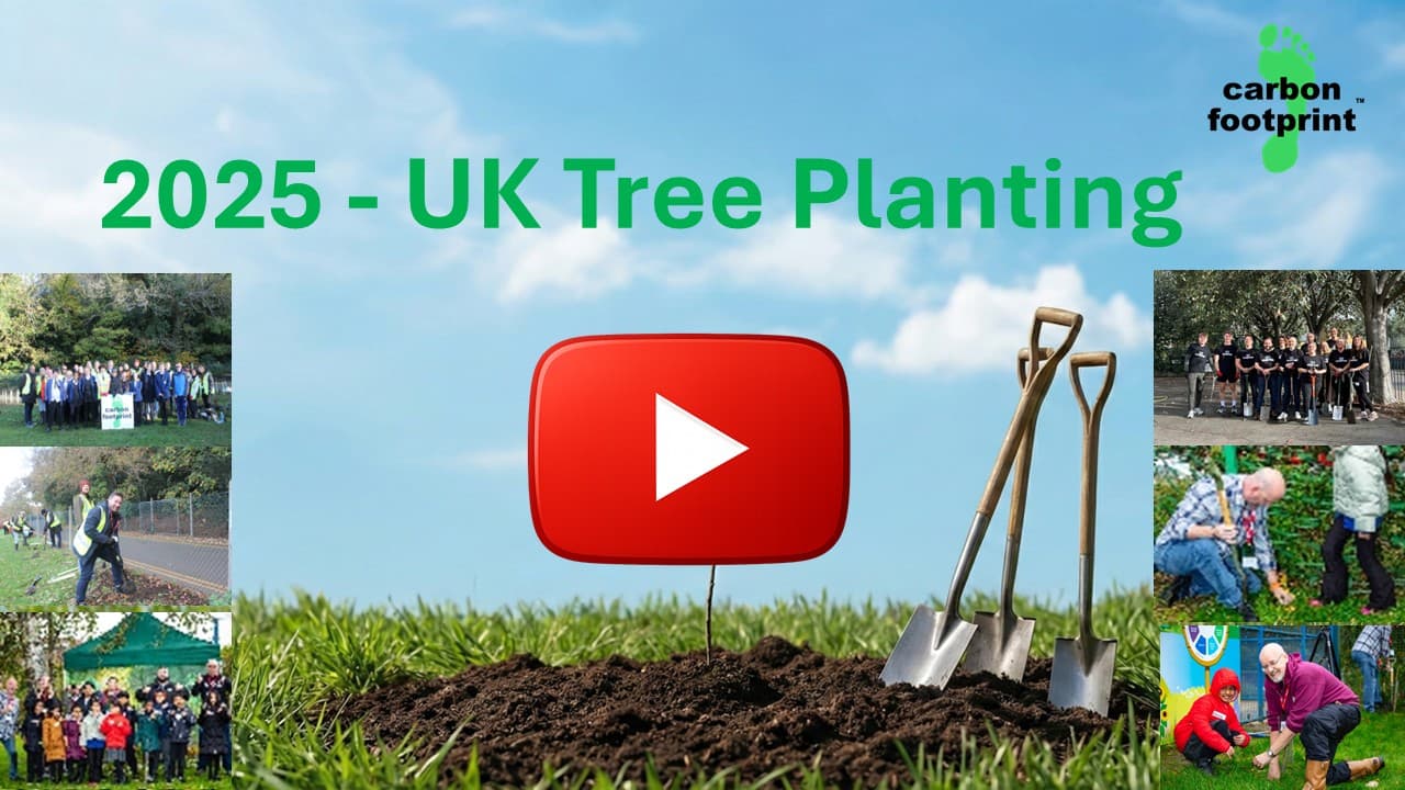 Watch our 2025 UK tree planting review video