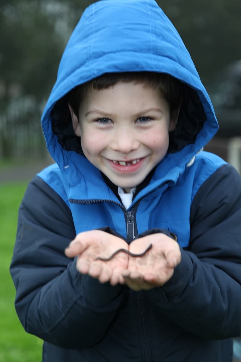 Pupils planting whips with spiral guards