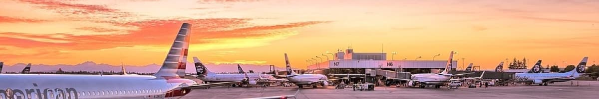 Airport terminal and apron
